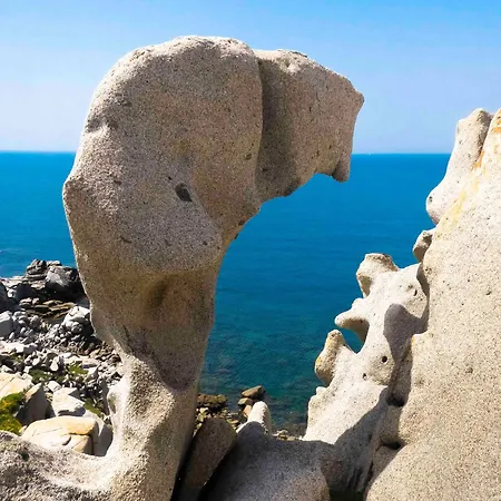 Le Di Felicita Santa Teresa Gallura